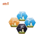 بازی فکری بومزی هوپا